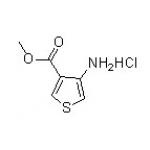 3-氨基噻吩-4-羧酸甲酯盐酸盐